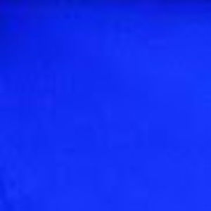 Meet your Posher, Erika elizabeth